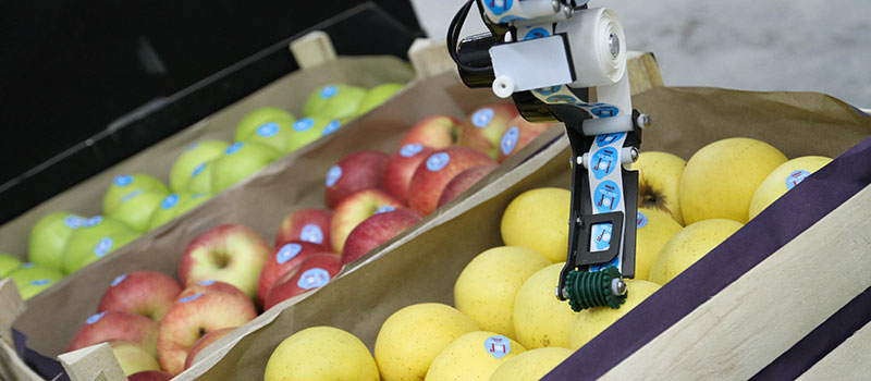 About homepage image